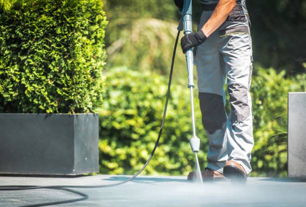 Best Fence Cleaning  in Livingston, TX